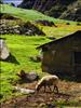 El Paramo y su Gente (12)